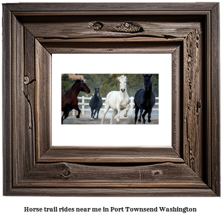 horse trail rides near me in Port Townsend, Washington